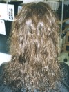 Before Japanese Hair Straightening 2